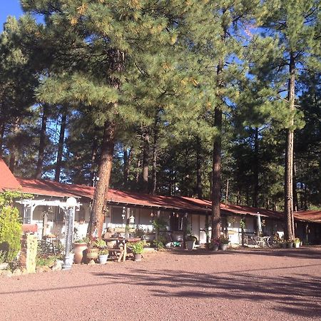 Mountain Haven Inn Пайнтоп-Лейксайд Экстерьер фото